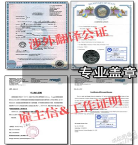 涉外证件案例